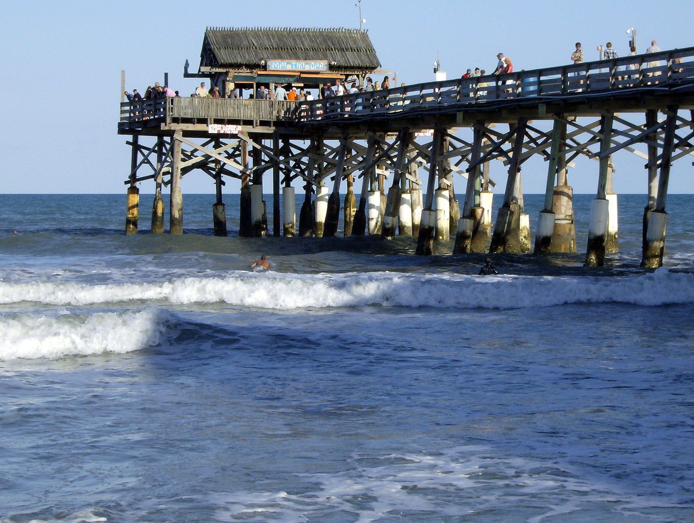 is cocoa beach pier dog friendly