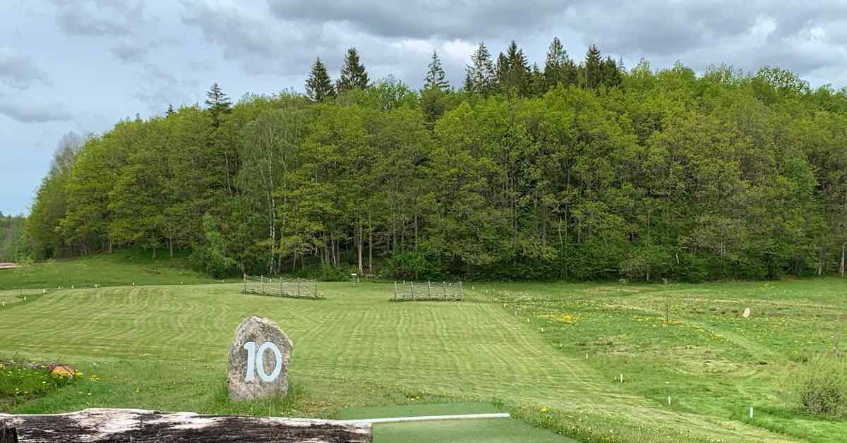 Well-mown open, grassy disc golf fairway