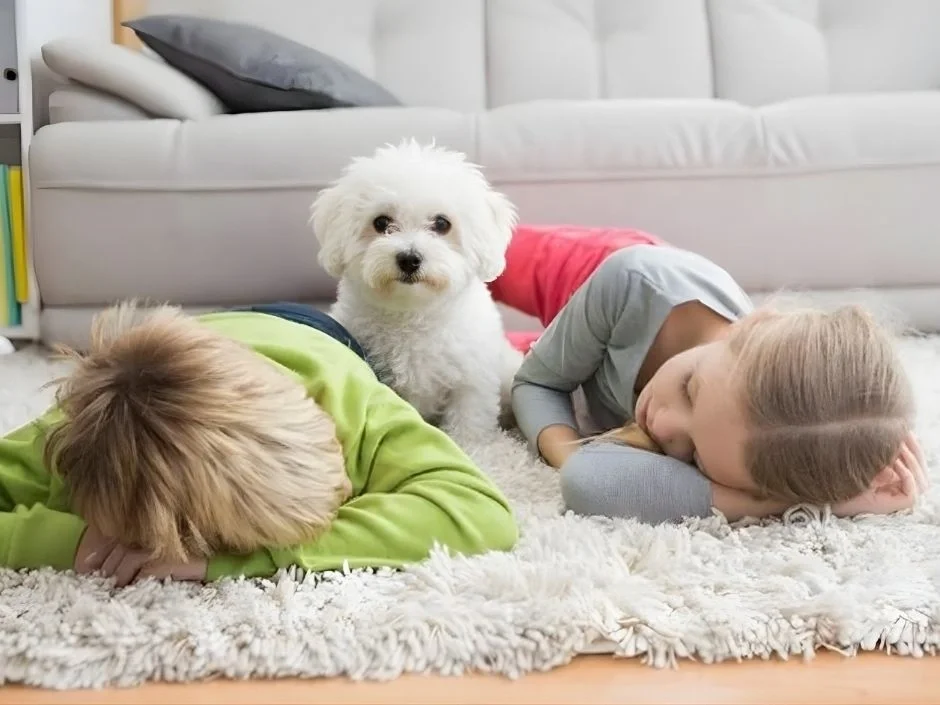 Two children relaxing on a carpet in an apartment living room while a small white Bichon Frise puppy sits between them