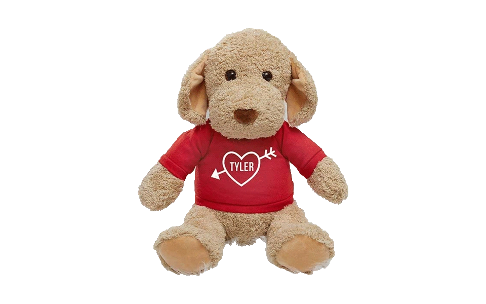 first-valentine-gift-for-boyfriend-personalized-plush.webp