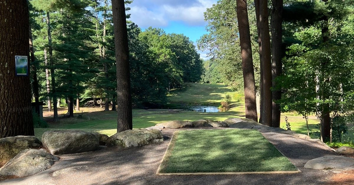 A turf disc golf tee pad in a wooded area leads to a grassy, tree-lined fairway