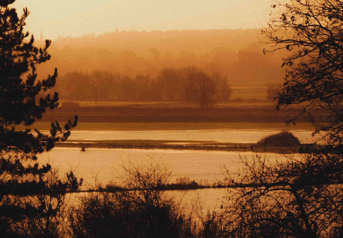 Somerset Levels