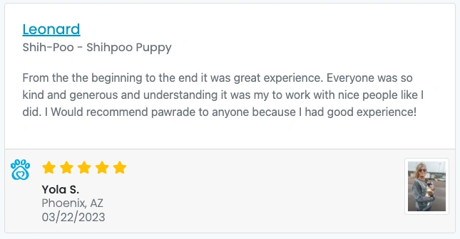 Screen Shot 2023-04-10 at 2.55.53 PM.webp