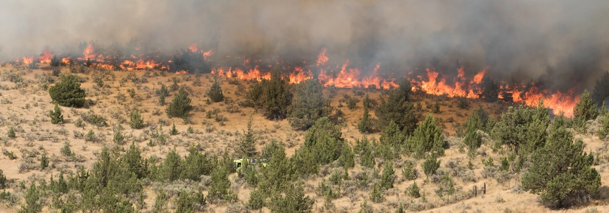 Wildfire on Off-Road Trail