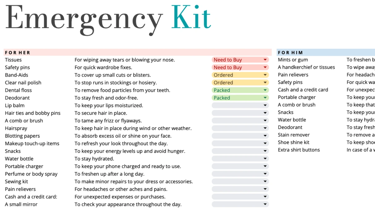 Google sheet template of a wedding day emergency kit.