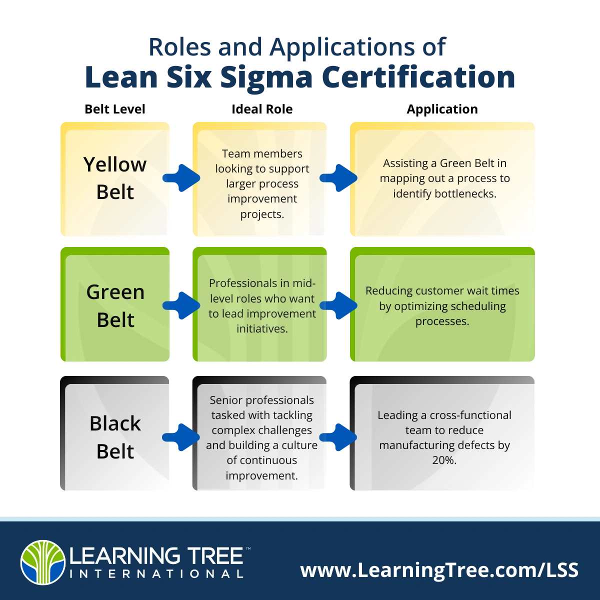 An infographic explaining Lean Six Sigma roles: Yellow Belt support, Green Belt lead improvements, Black Belt solve complex challenges