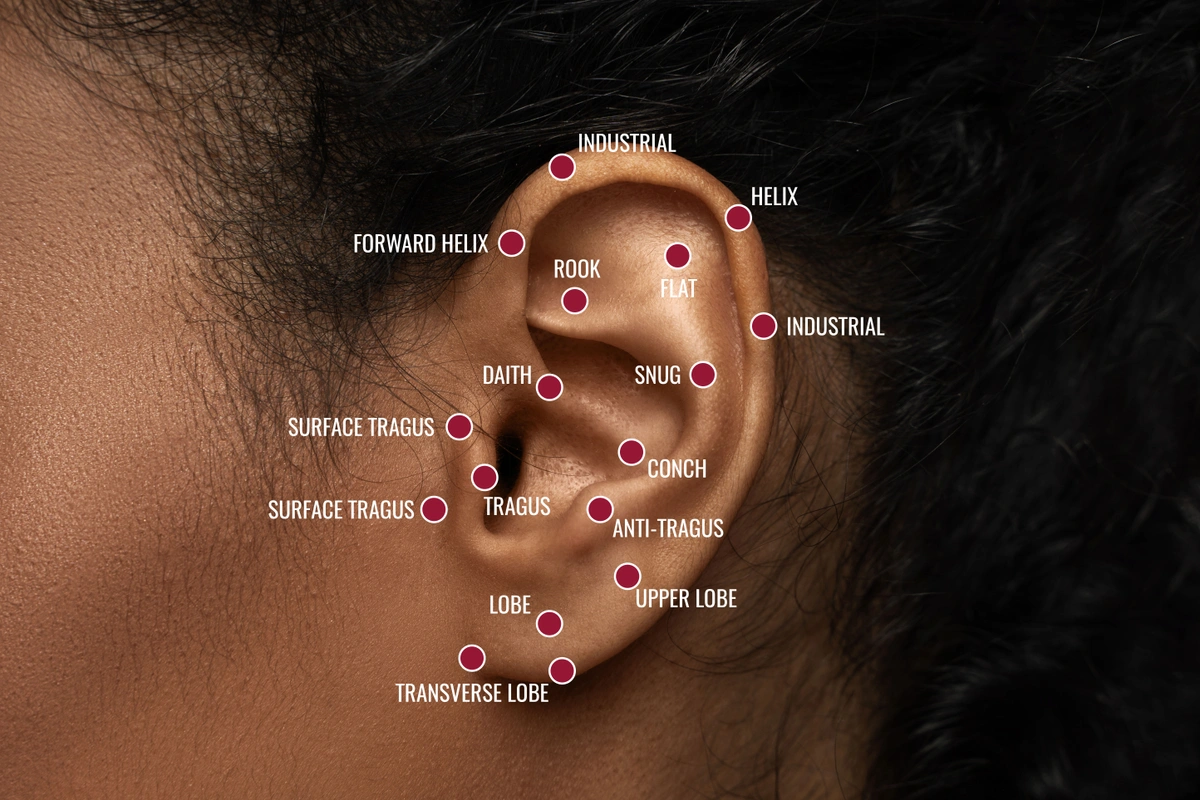 Diagram showing popular ear piercing locations and names