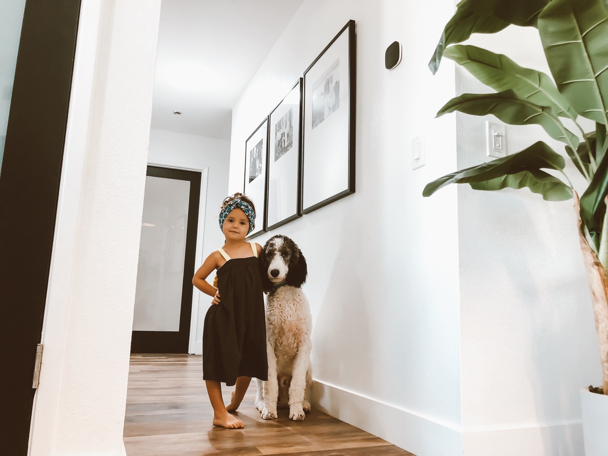 dog and girl posing in hallway of frames