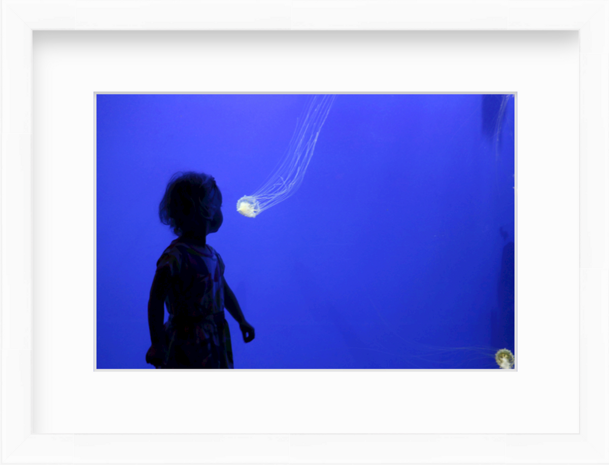 Photo of girl at aquarium looking at jellyfish in white frame