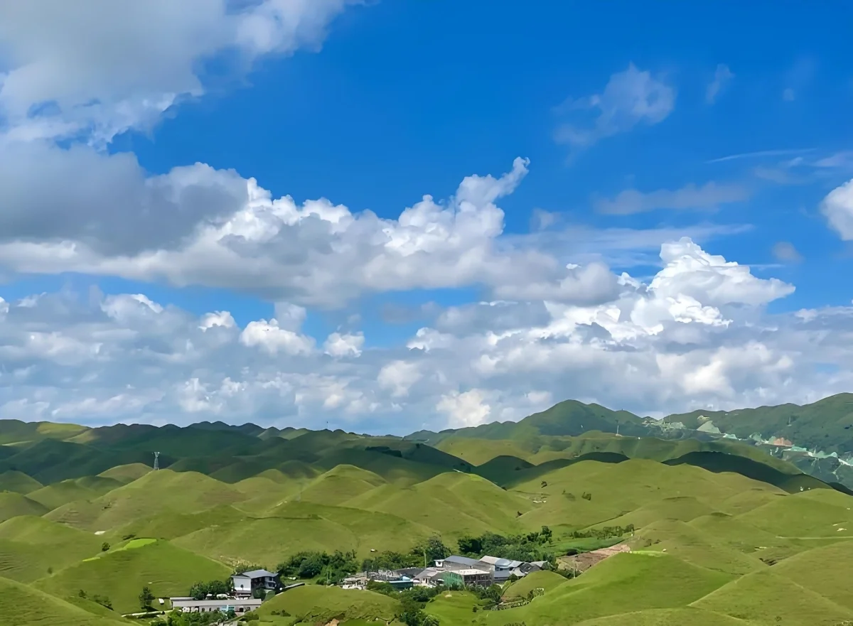 南山牧場