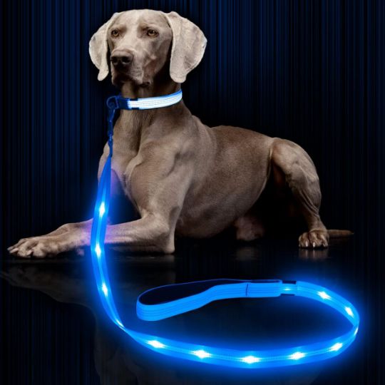 The Best HighTech Gadgets For Dogs & Dog Lovers in 2024