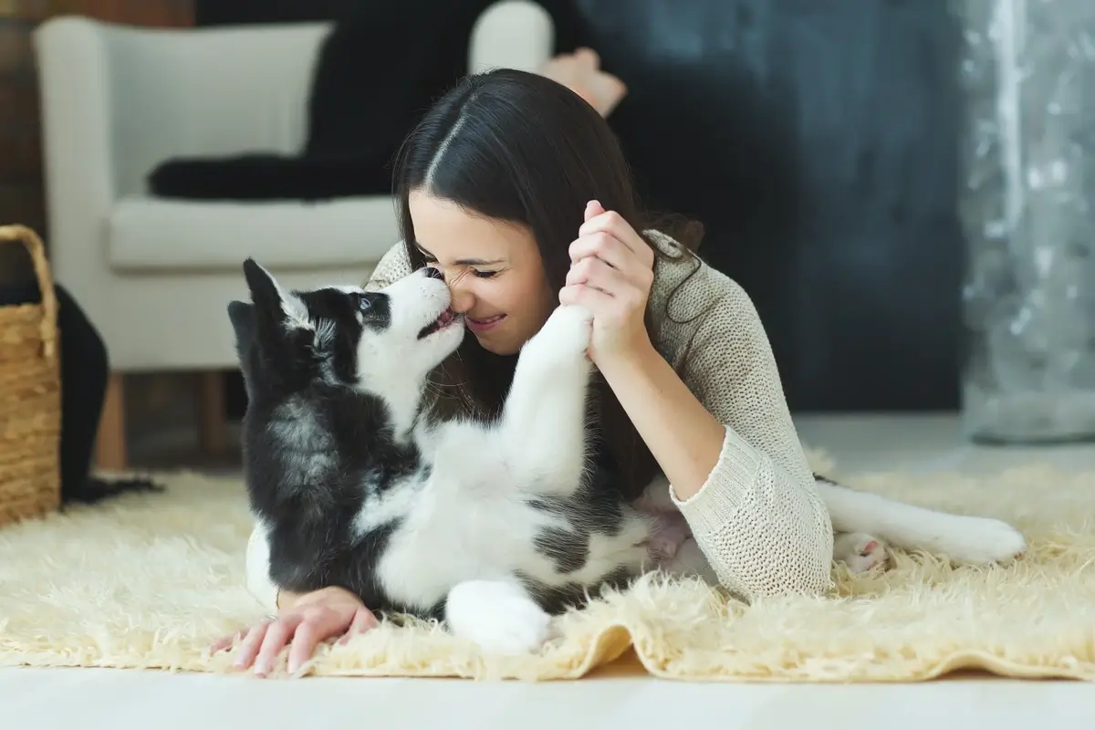 A woman kisses her Siberian Husky