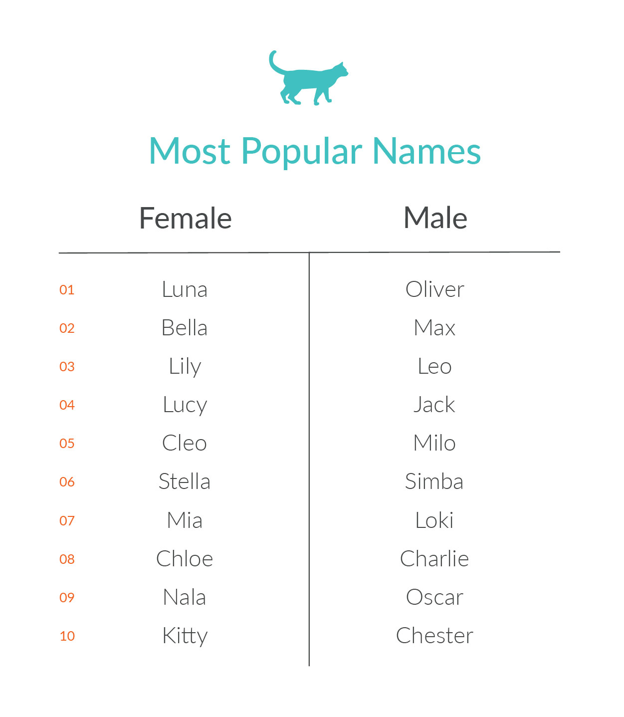 Infographic_PetNames_lowercase copy 5...