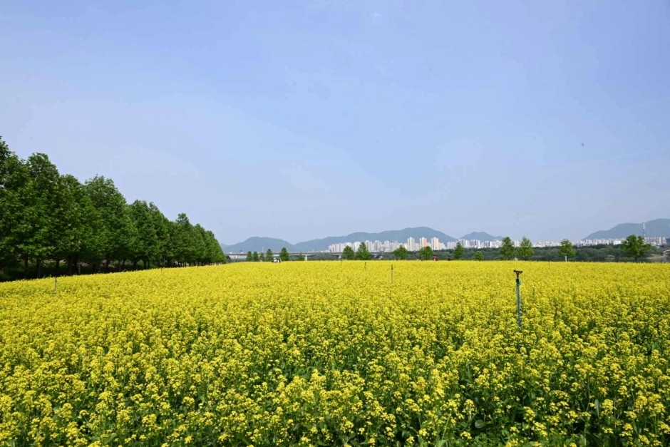 九里市民漢江公園