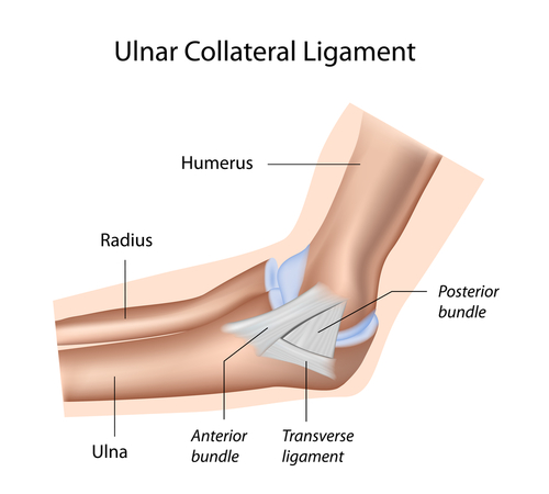 What Is Tommy John Surgery How To Know If You Need It Betterpt Blog