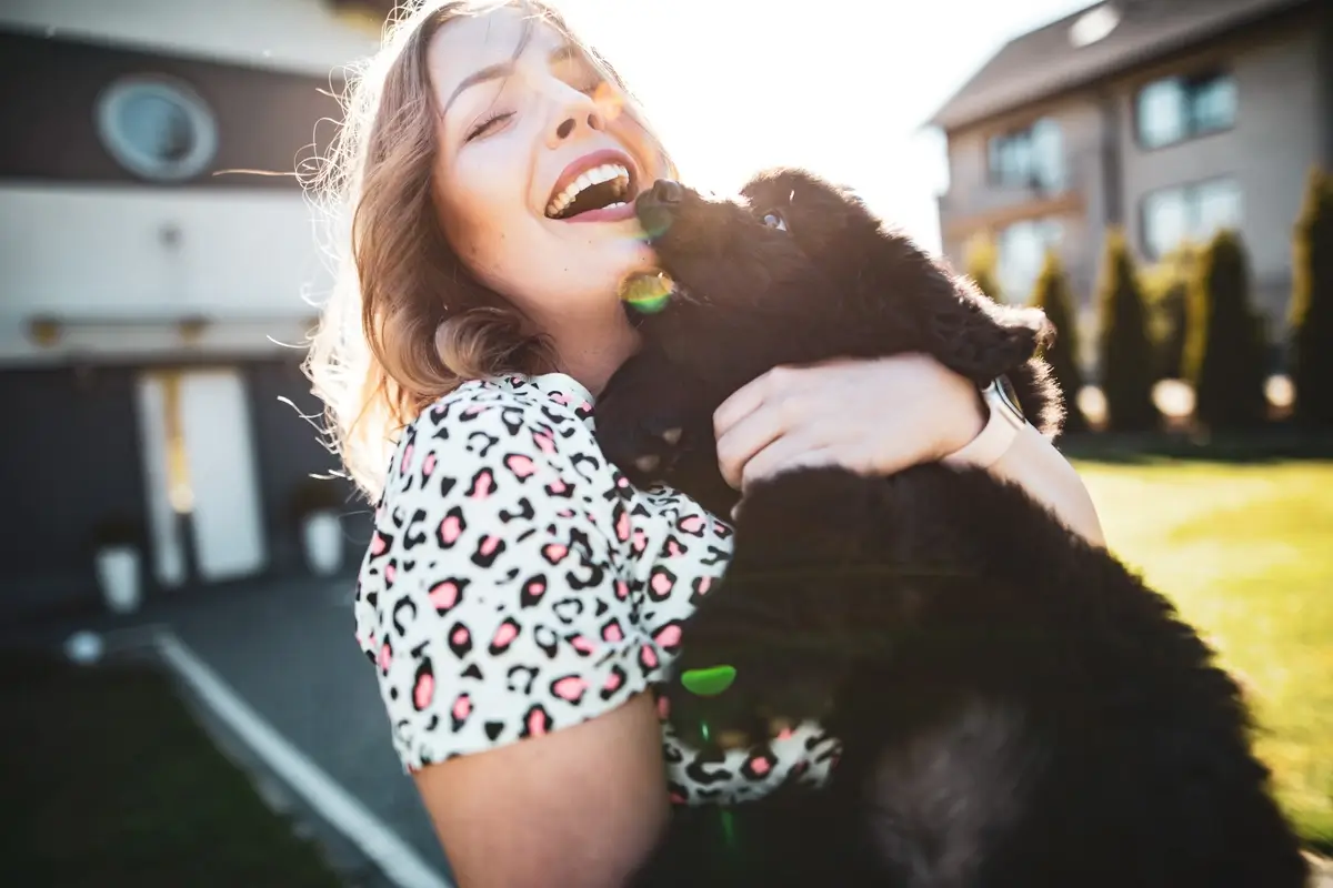 How to Find a Good Dog Sitter