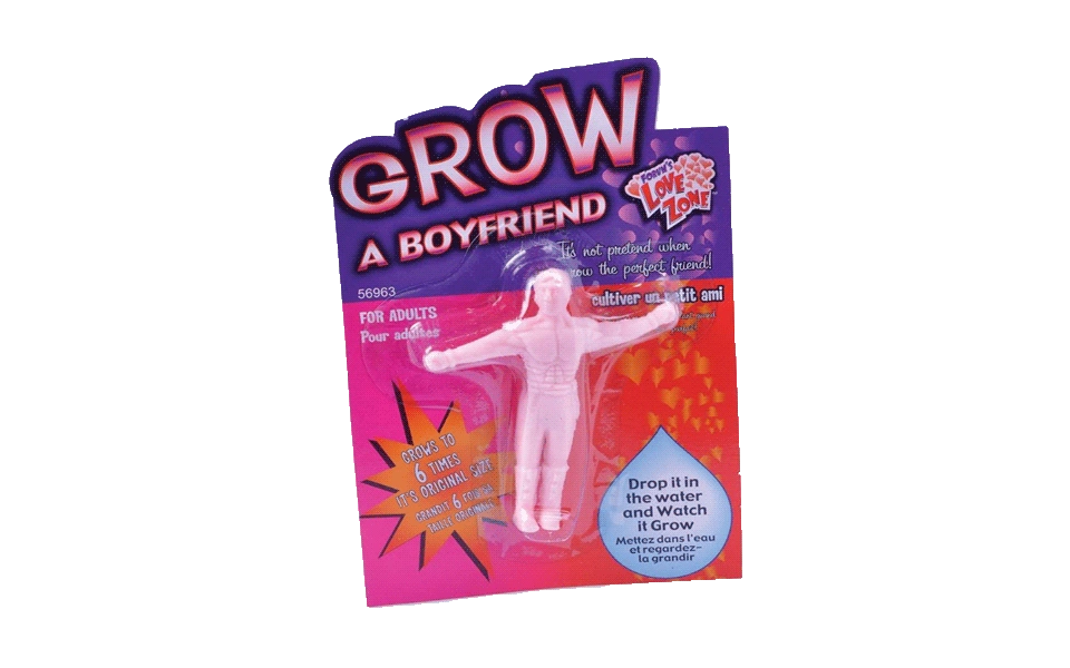 grow-a-boyfriend-toy-funny-valentine-gift-ideas.webp