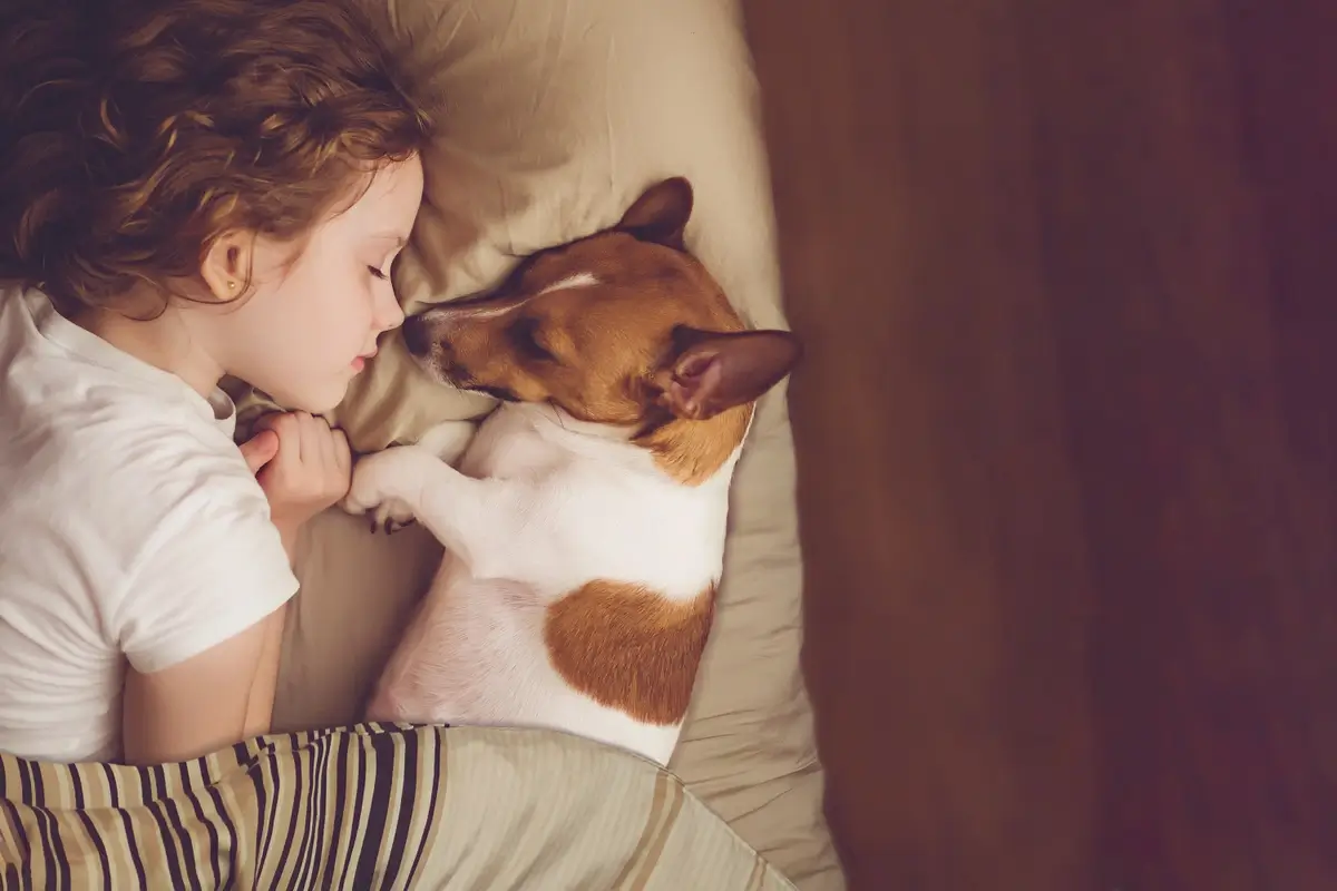 A child and a puppy snuggle lying down while touching noses