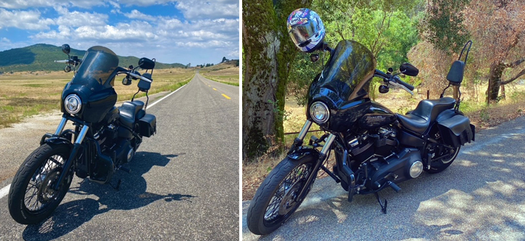 2019-street-bob.jpg