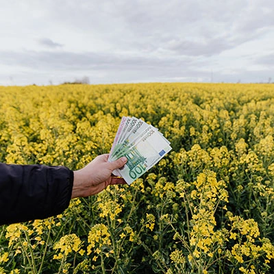 Person holding money in a flower field.