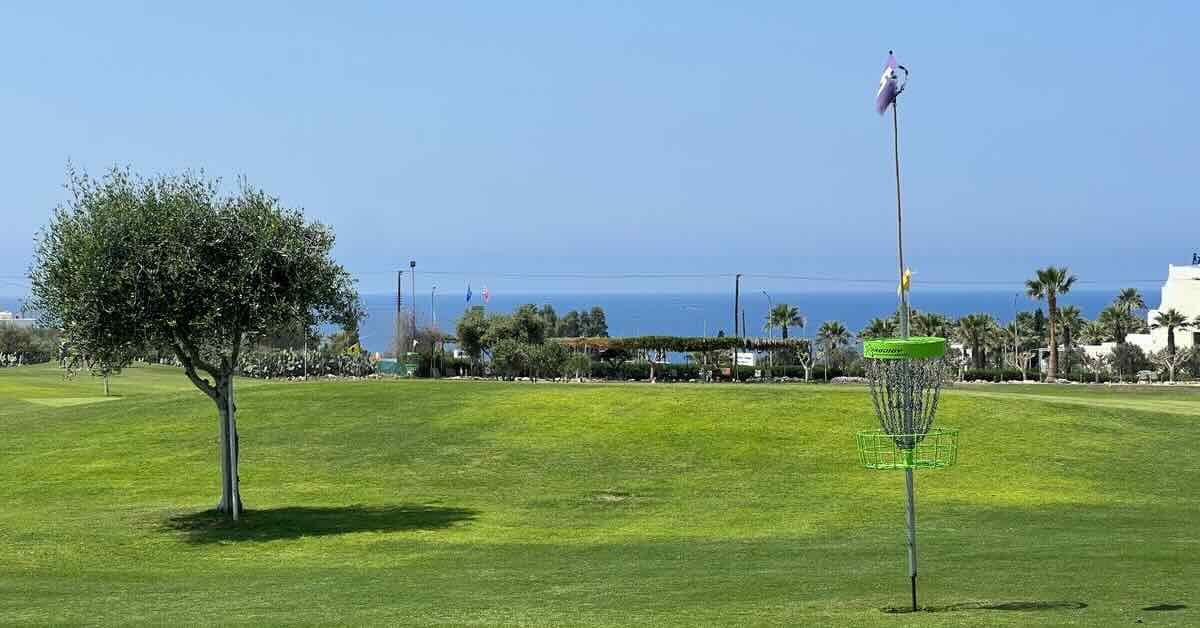 A green disc golf basket on a manicured lawn