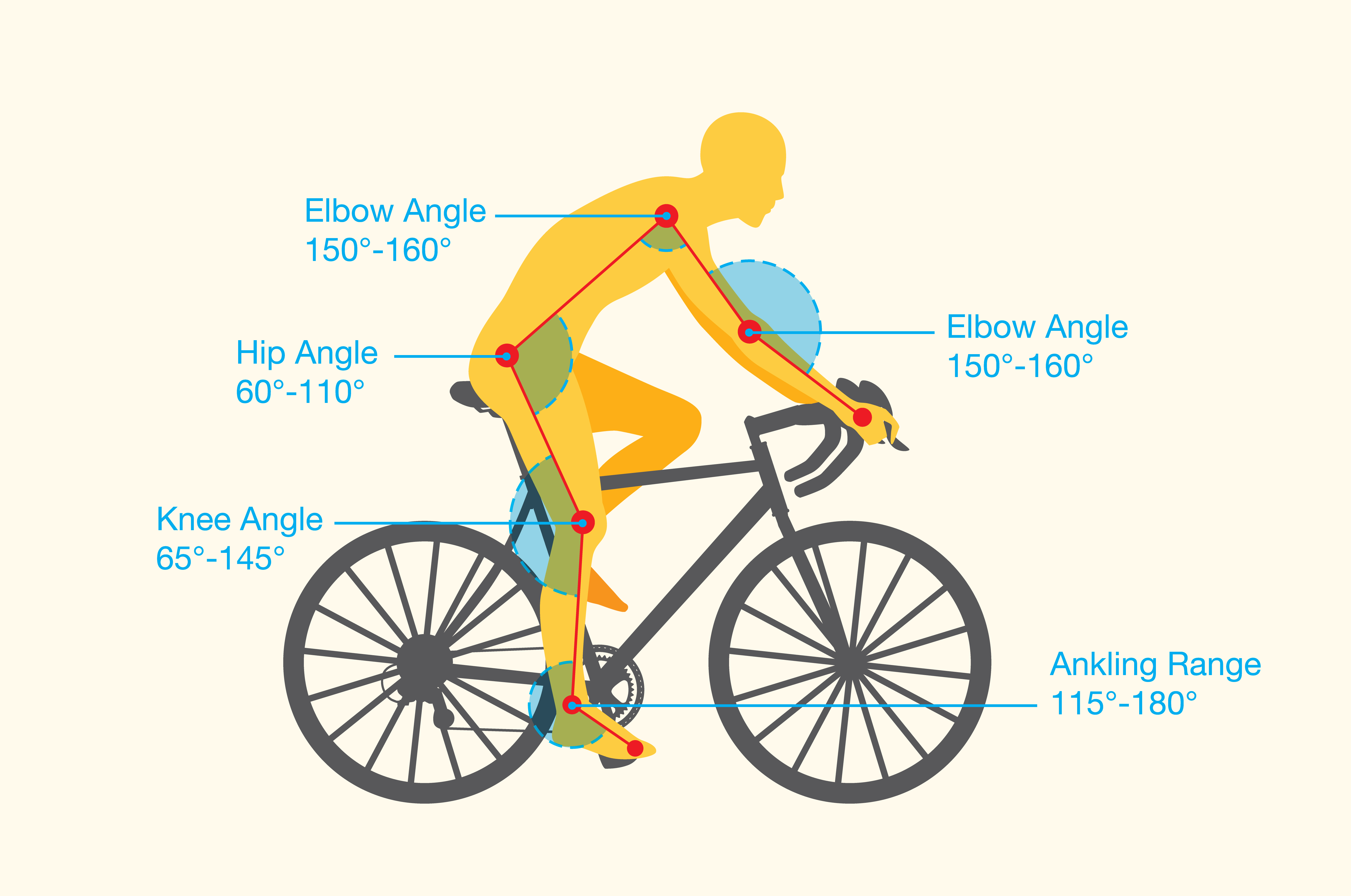 Ride one перевод. Биомеханика велосипедного спорта. Биомеханика в велоспорте. Bike Fit Angle. Шоссейный велосипед биомеханика.