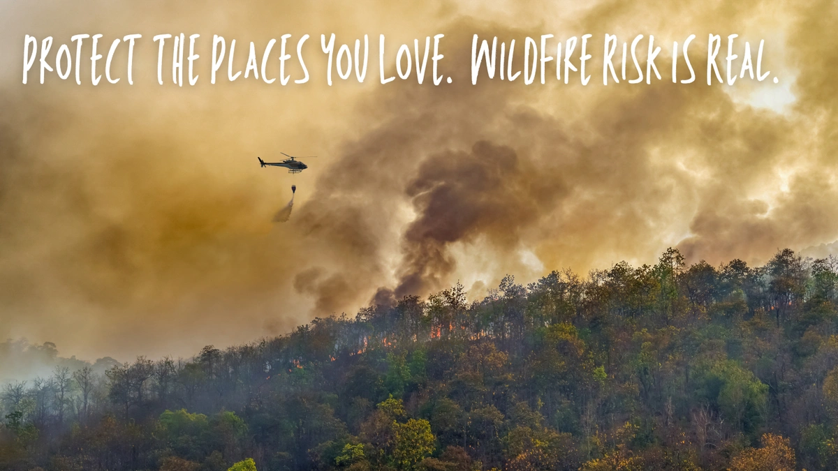 How to Camp and Off-Road Responsibly During Wildfire Season Blog Image