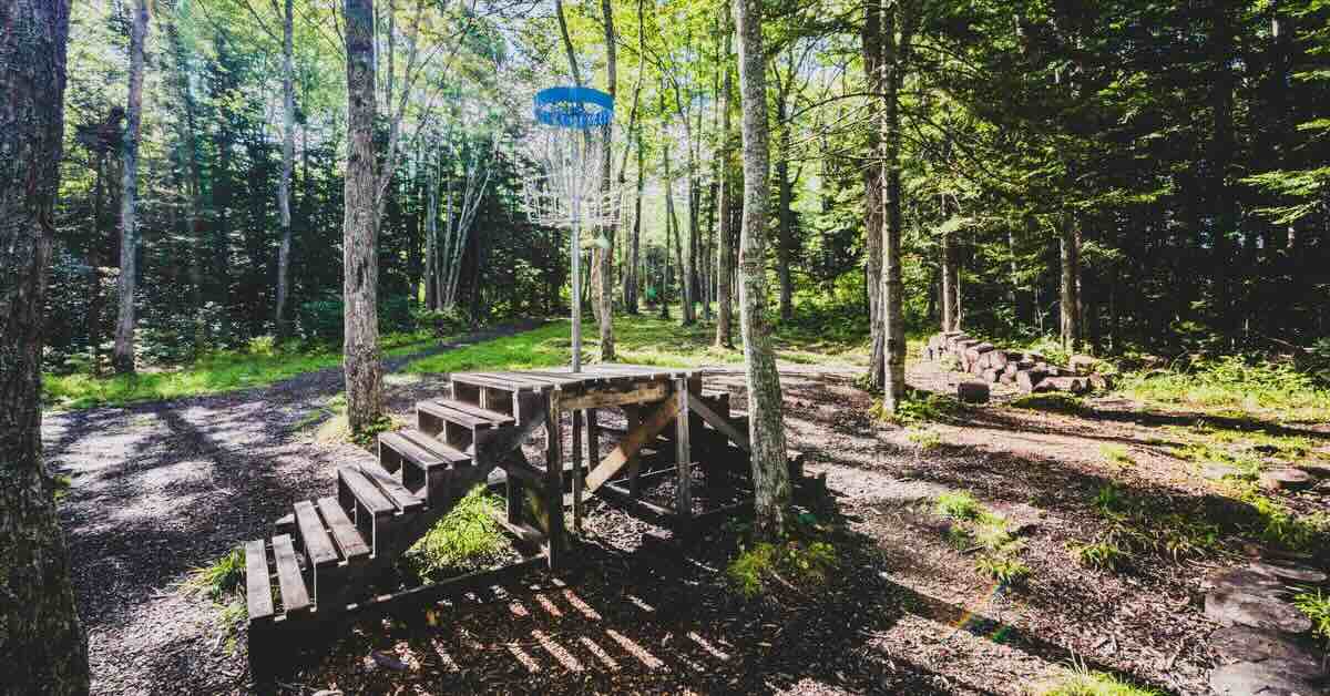An elevated disc golf basket in woods with wooden stairs to it oon both sides
