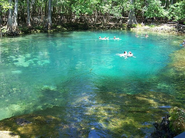 SpringsManateeSpringsStateParkWikimed...