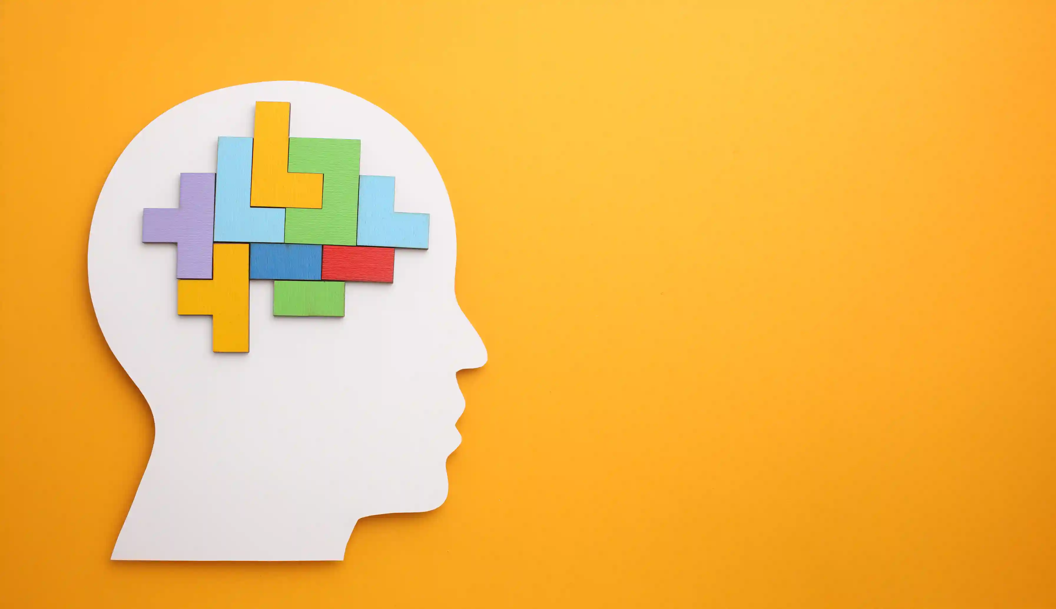 Colorful puzzle brain silhouette representing cognitive assessment in top 1% global talent vetting system