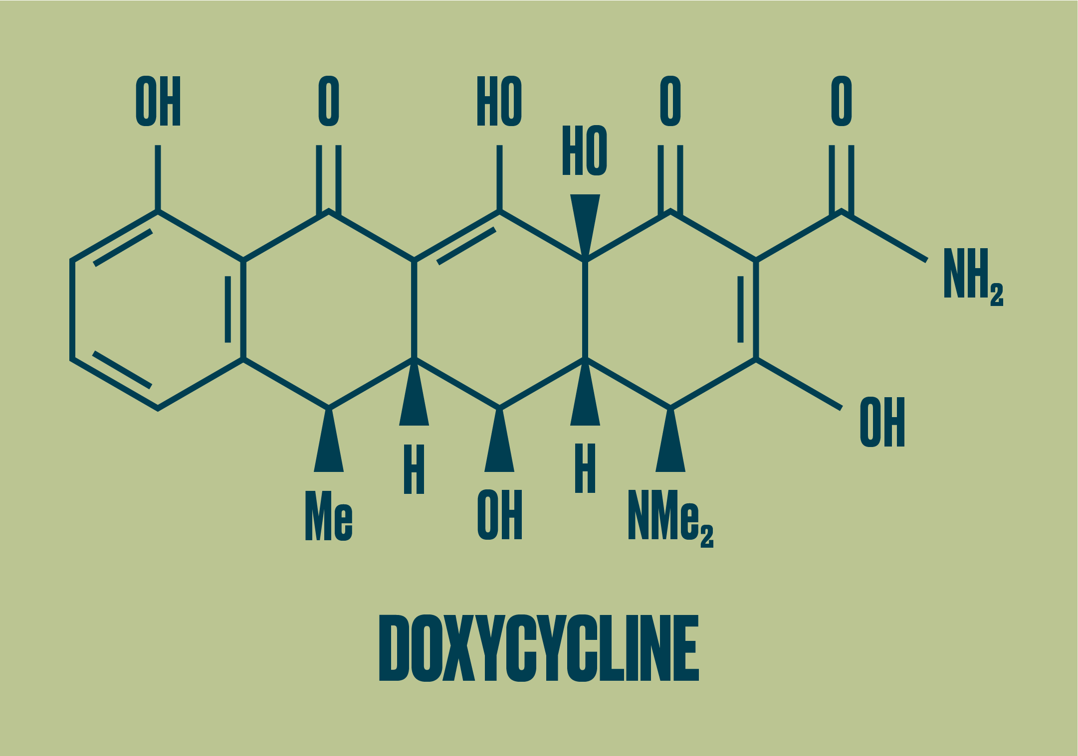 how long should a dog be on doxycycline