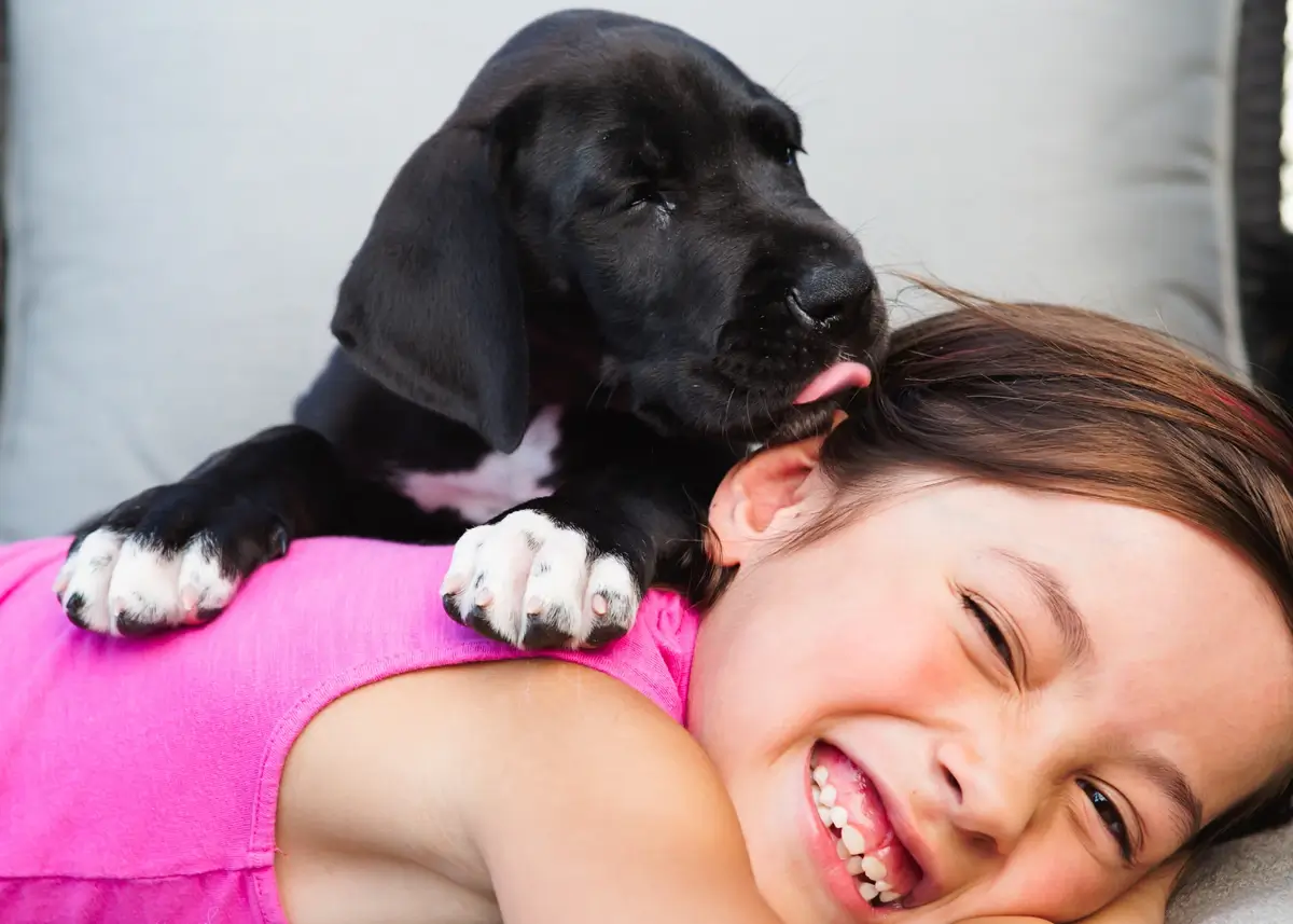 A black puppy with white paws licks a girl wearing a pink shirt lying down