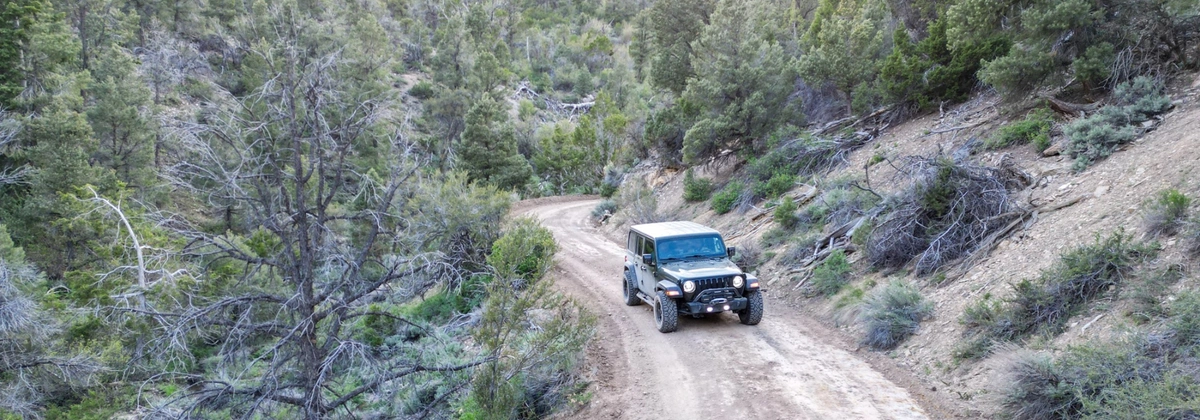Cherry Creek Summit.webp