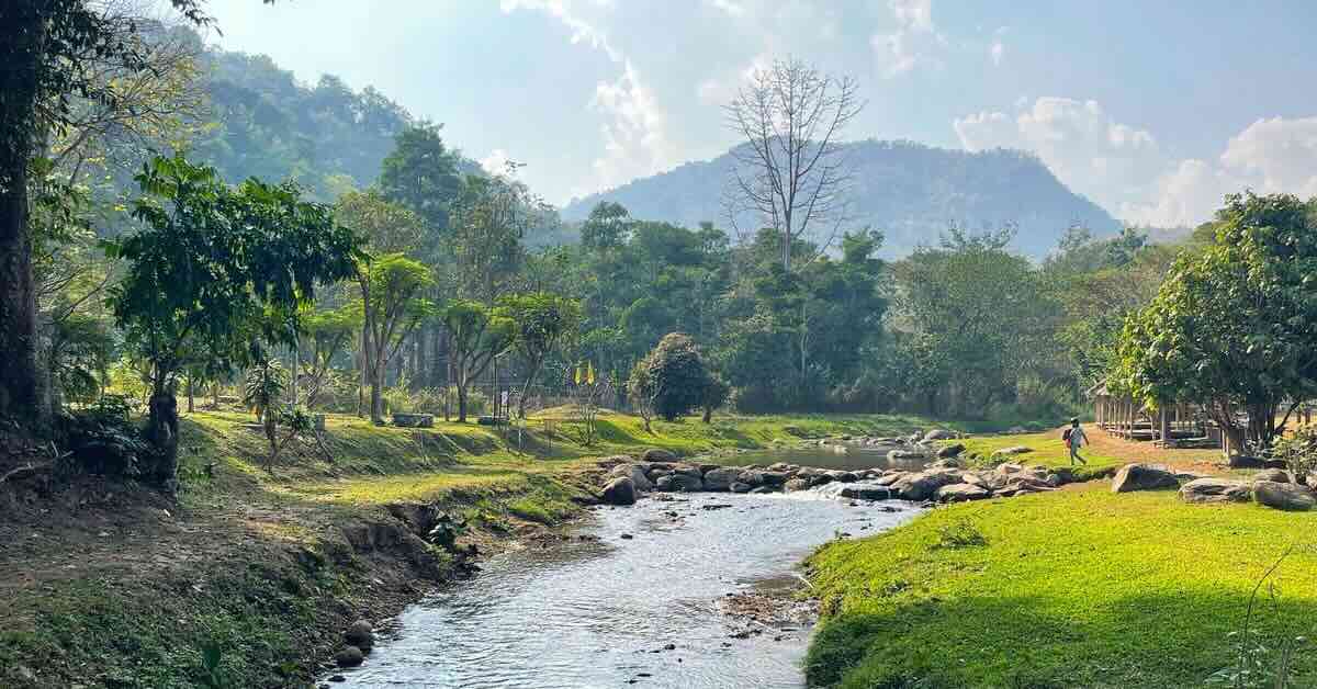A river running through a tropical area with mountains in distance