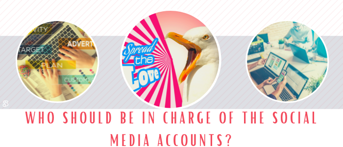 Who should be in charge of the social media accounts?