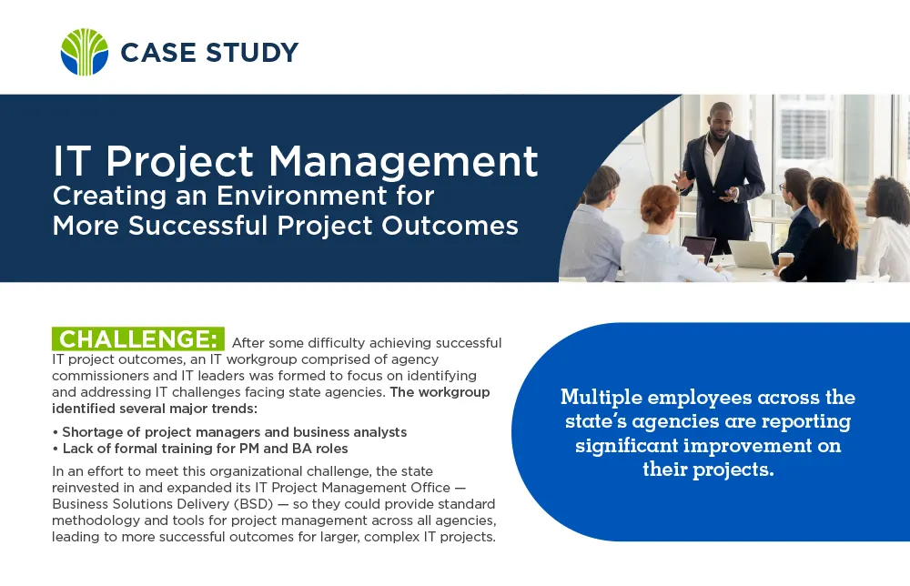 Case Study: IT Project Management