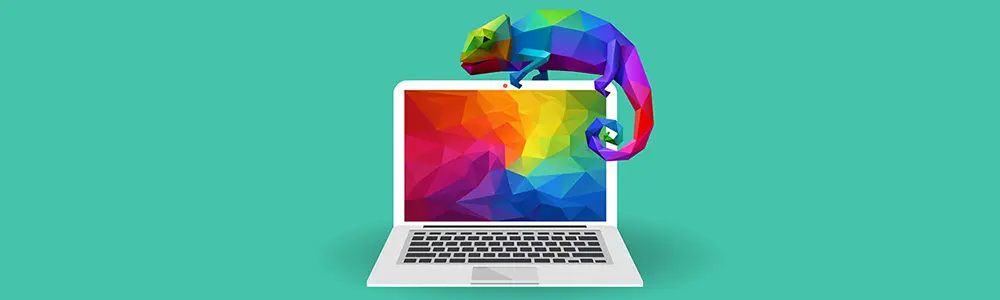 colorful gecko on a monitor