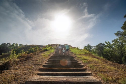 Take in all Tuscaloosa has to Offer this Fall
