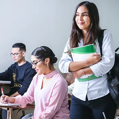 Young woman learning.