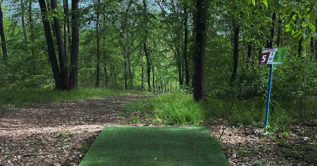 A green turd disc golf tee in a forested area