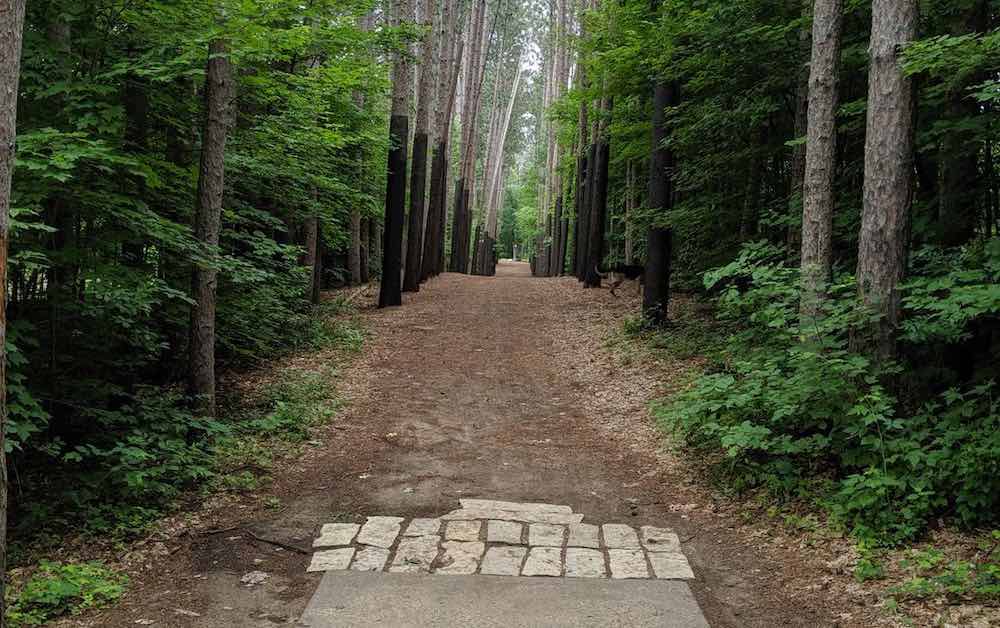 A paved disc golf tee pad in front of a very tight, dead straight fairway thickly lined with trees