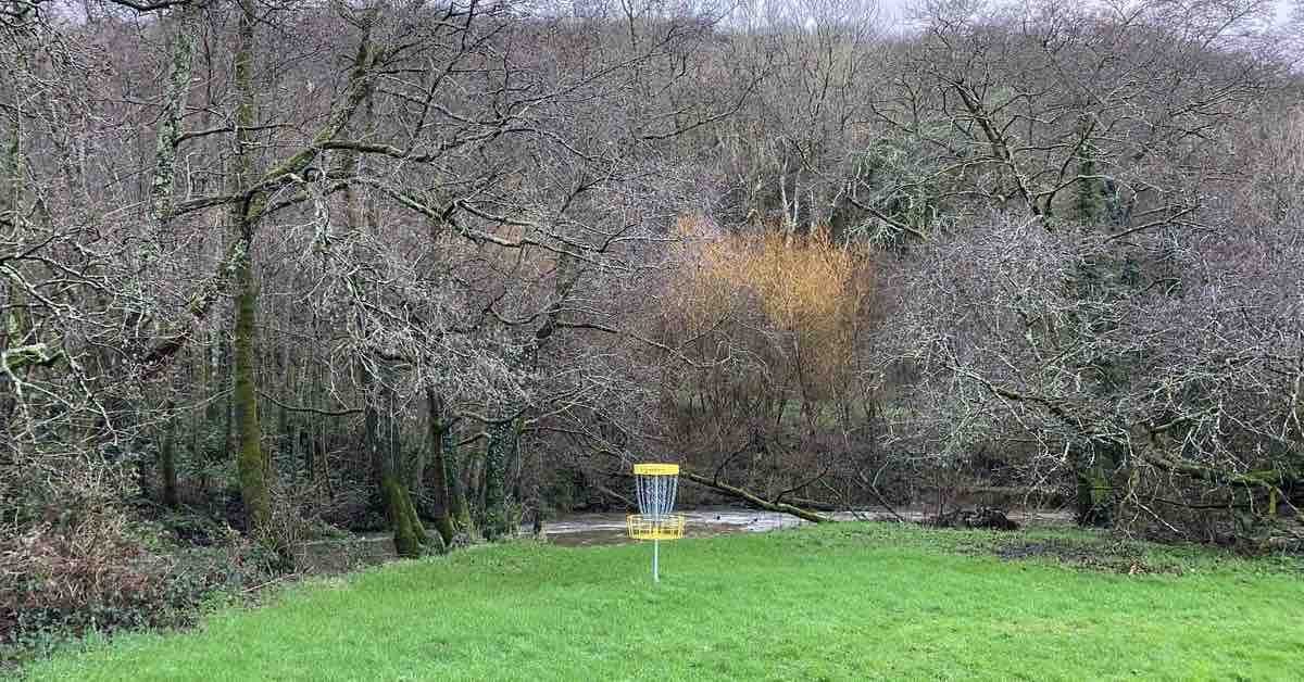 A disc golf basket in a green area near a stream