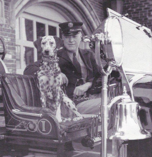 dalmatianfiretruck.webp