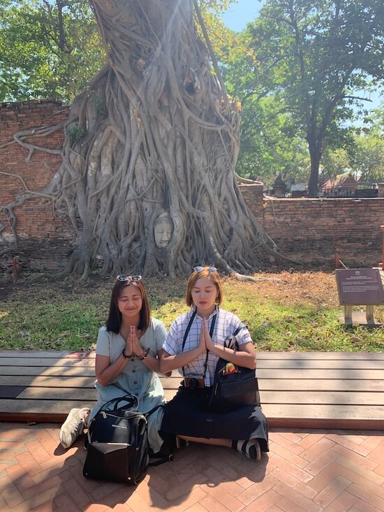 with buddha head in Ayutthaya