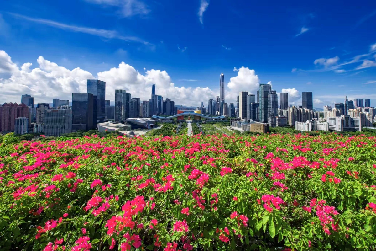 深圳蓮花山公園