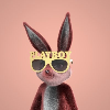 Playboy Rabbitars