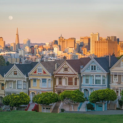 Painted Ladies.