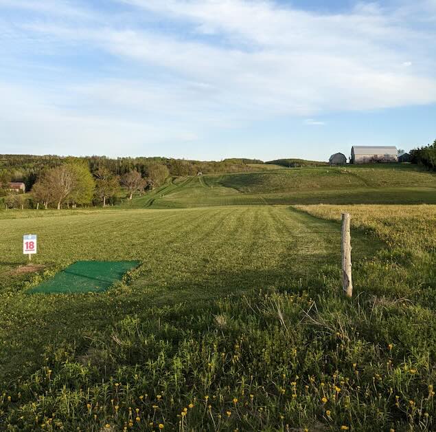 Turf disc golf tee pad in a mowed fairway in a large field