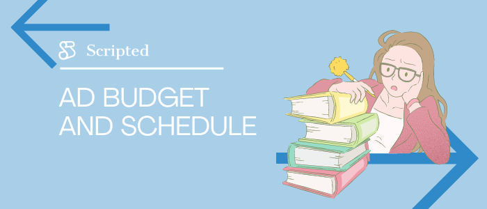 Ad Budget and Schedule