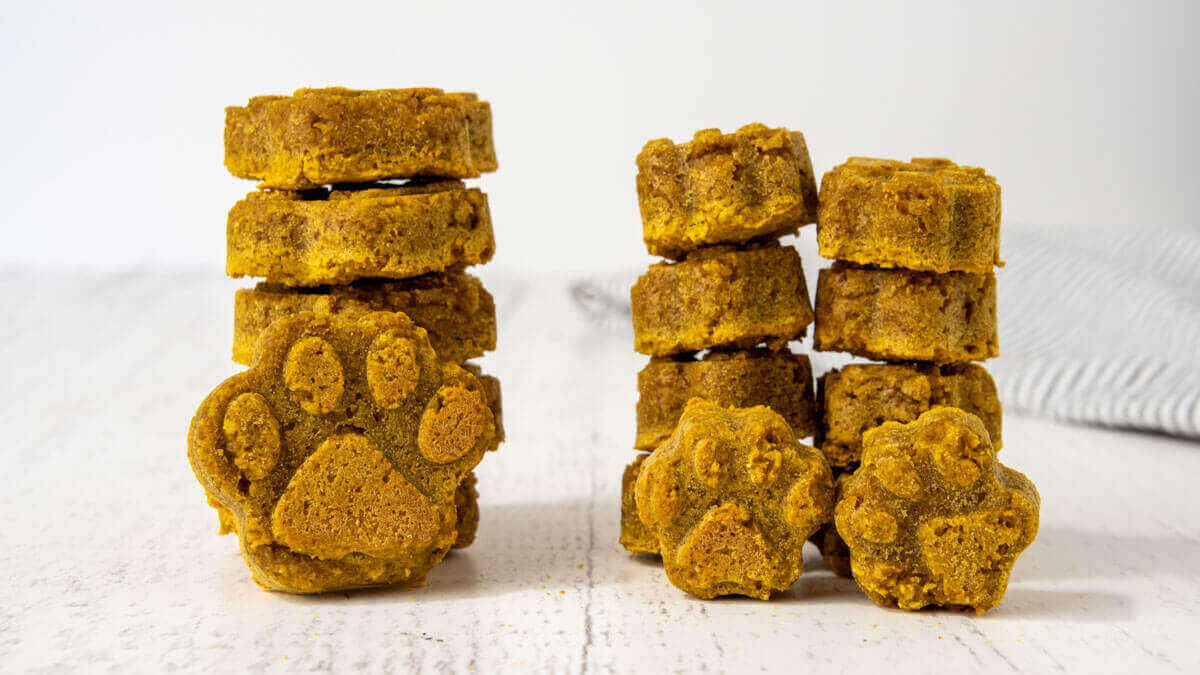 Peanut-Butter-Pumpkin-Dog-Treats.spoi...